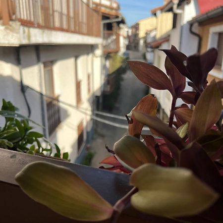דירות קנדלדה La Golondrina מראה חיצוני תמונה