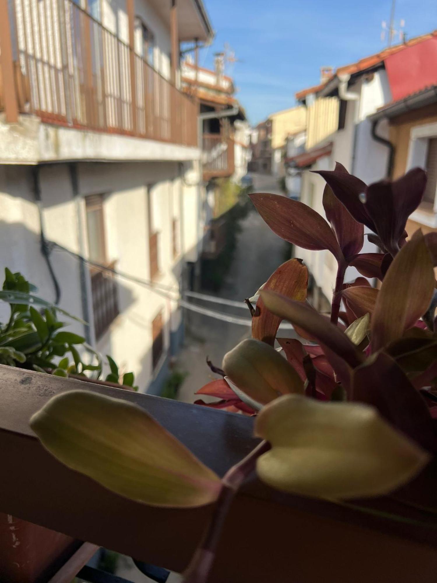 דירות קנדלדה La Golondrina מראה חיצוני תמונה