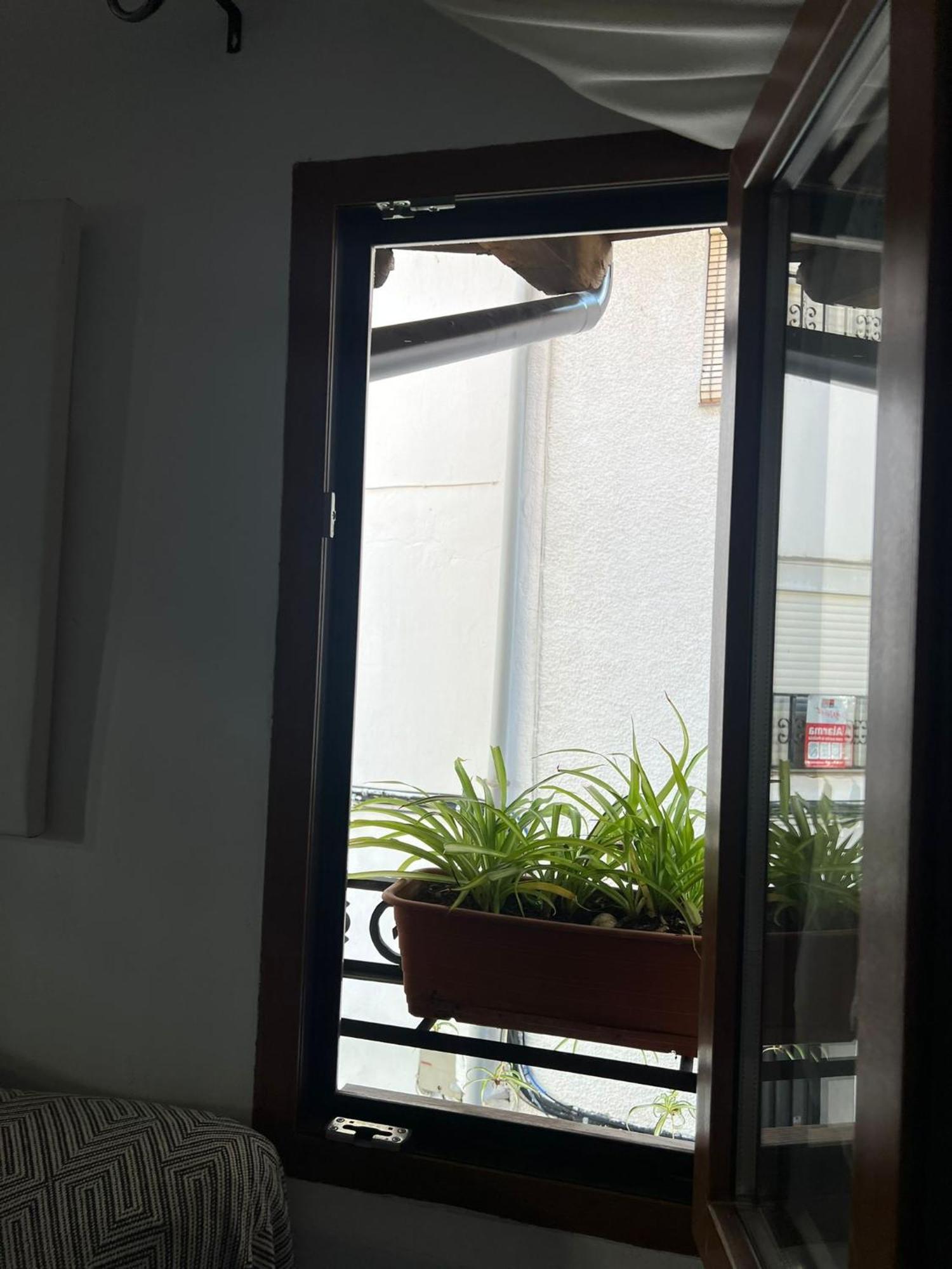 דירות קנדלדה La Golondrina מראה חיצוני תמונה